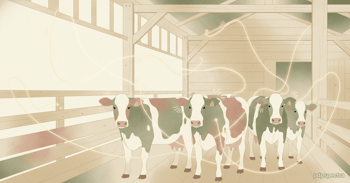 AI Livestock Monitoring in 2026: Connecterra, Allflex, SwineTech and the Welfare Shift