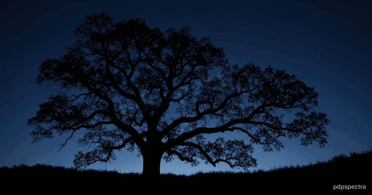 XGBoost vs LightGBM vs CatBoost: Picking a Gradient Booster in 2026